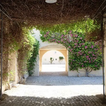 Flattered To Be In Algarve Apartament