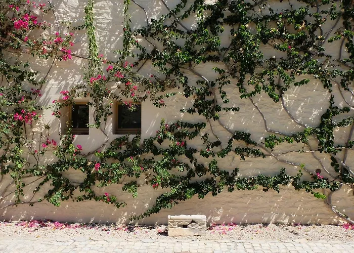 Flattered To Be In Algarve Apartment *