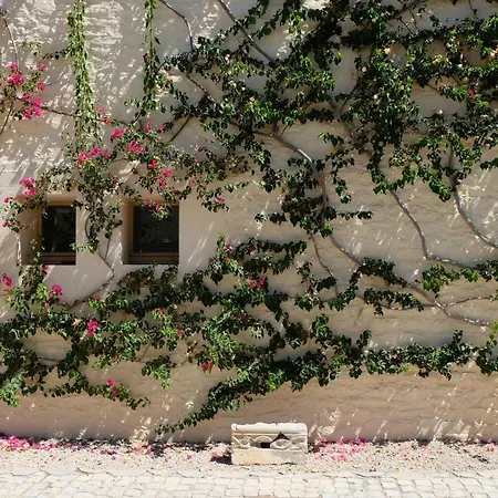Flattered To Be In Algarve Daire *